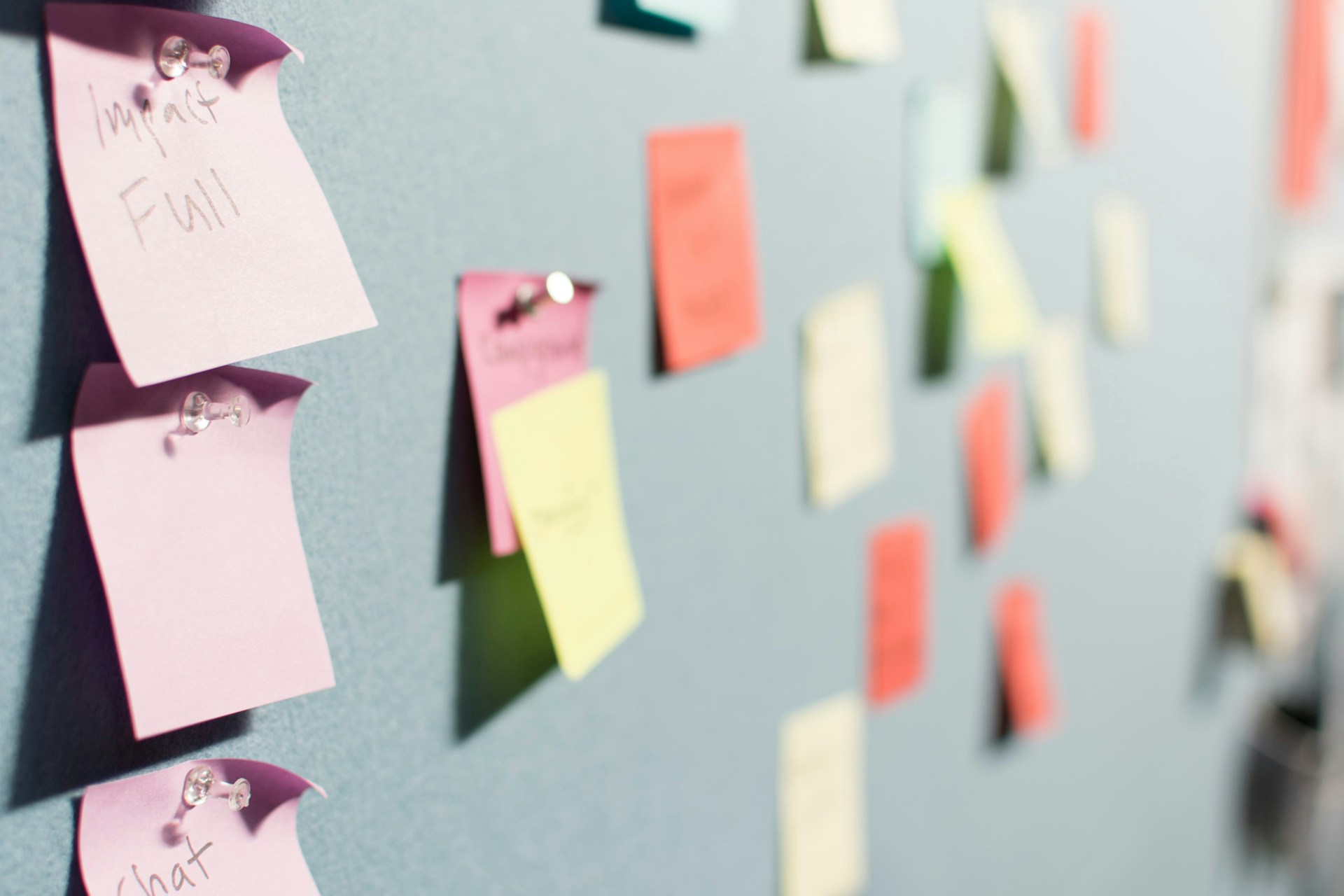 Top 12 Tips in Unmasking Unauthorized Sellers